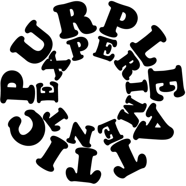Purple Attic Experiment logo